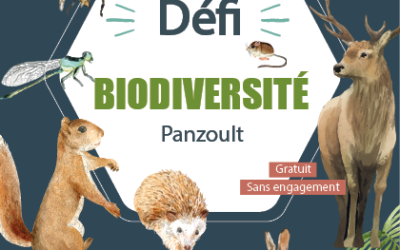 DEFI BIODIVERSITE PANZOULT