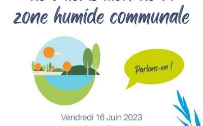 VALORISATION de la ZONE HUMIDE