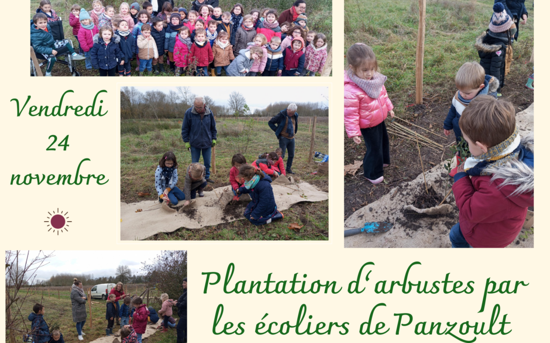 Plantation des écoliers