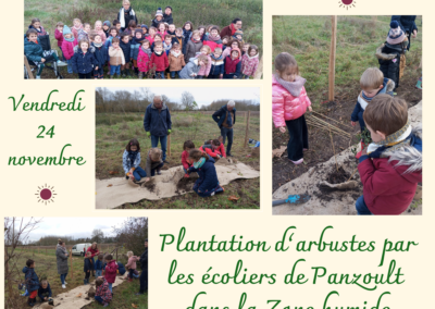 Plantation des écoliers