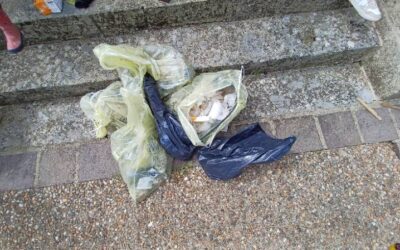 Ramassage des déchets