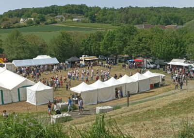 FESTIVIN 2025