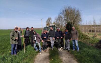 Entretien des chemins et du cimetière