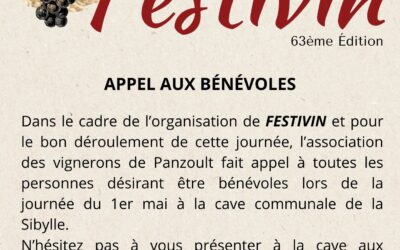 Appel Bénévoles FESTIVIN 2025