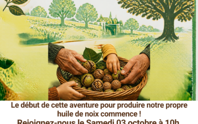 Ramassage de Noix